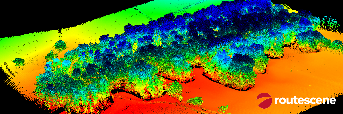 Point cloud created using Purepoint Pro LiDAR data processing software displaying LiDAR survey data and geospatial mapping of a woodland.